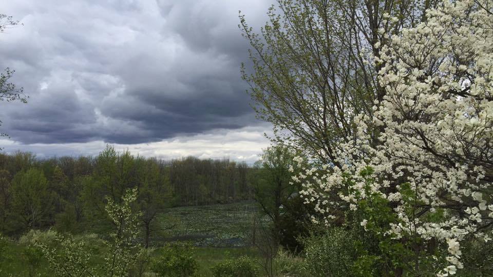Hike the Bluebird Hills Trail