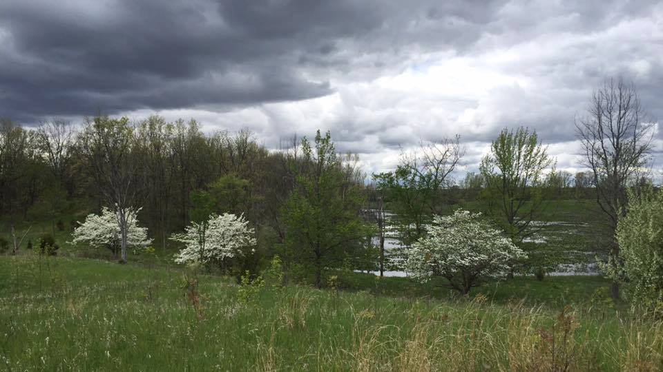 Hike the Bluebird Hills Trail