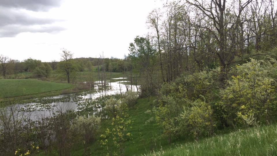 Hike the Bluebird Hills Trail