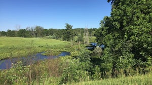 Hike the Bluebird Hills Trail