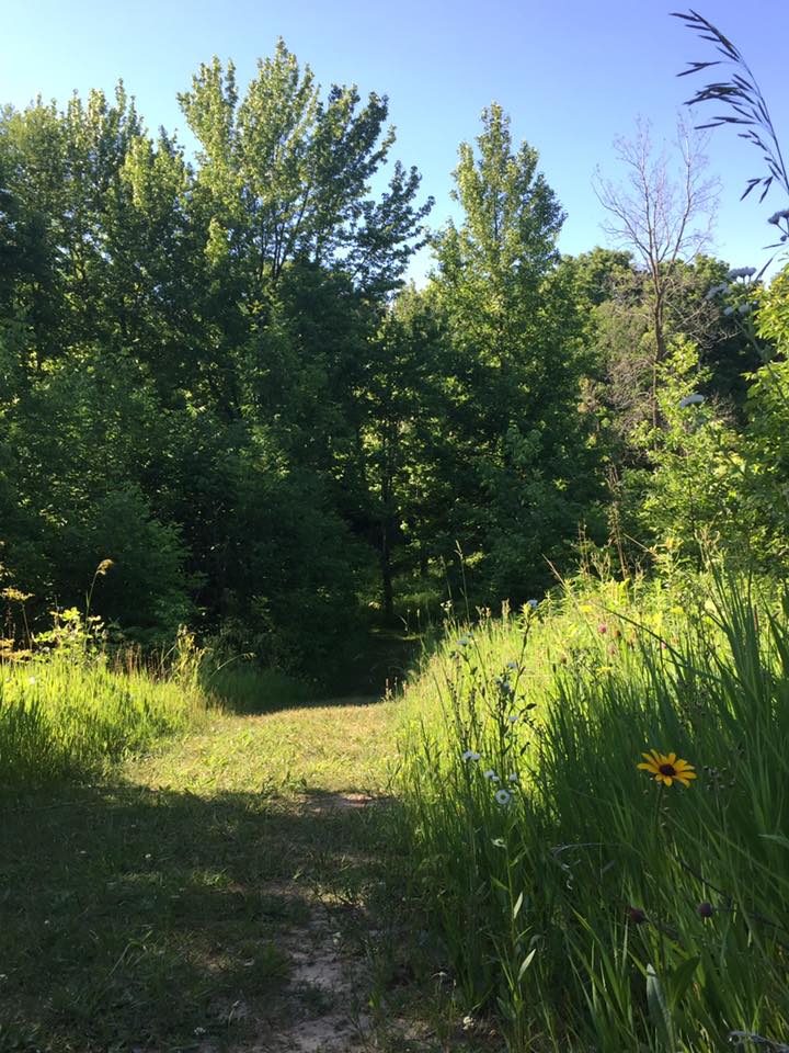 Hike the Bluebird Hills Trail