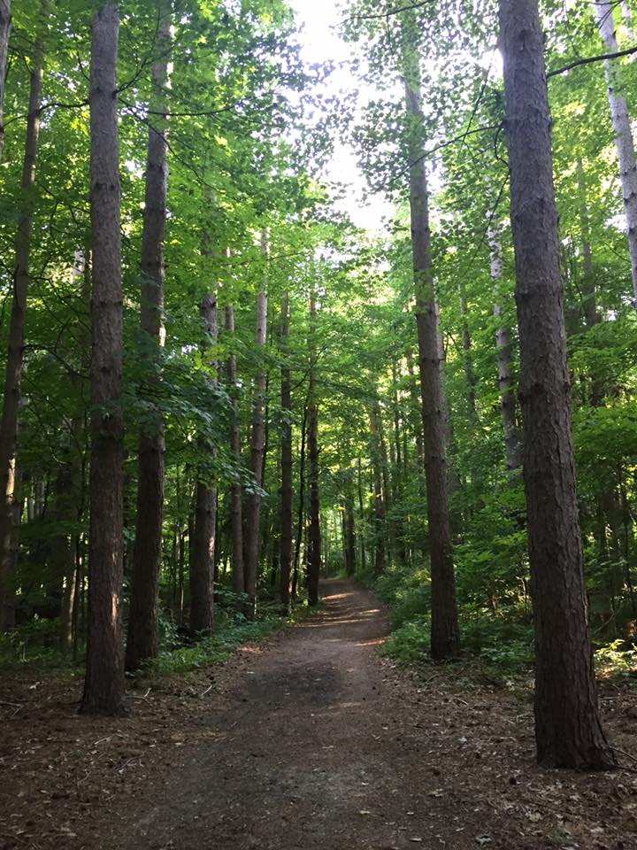 Hike the Bluebird Hills Trail