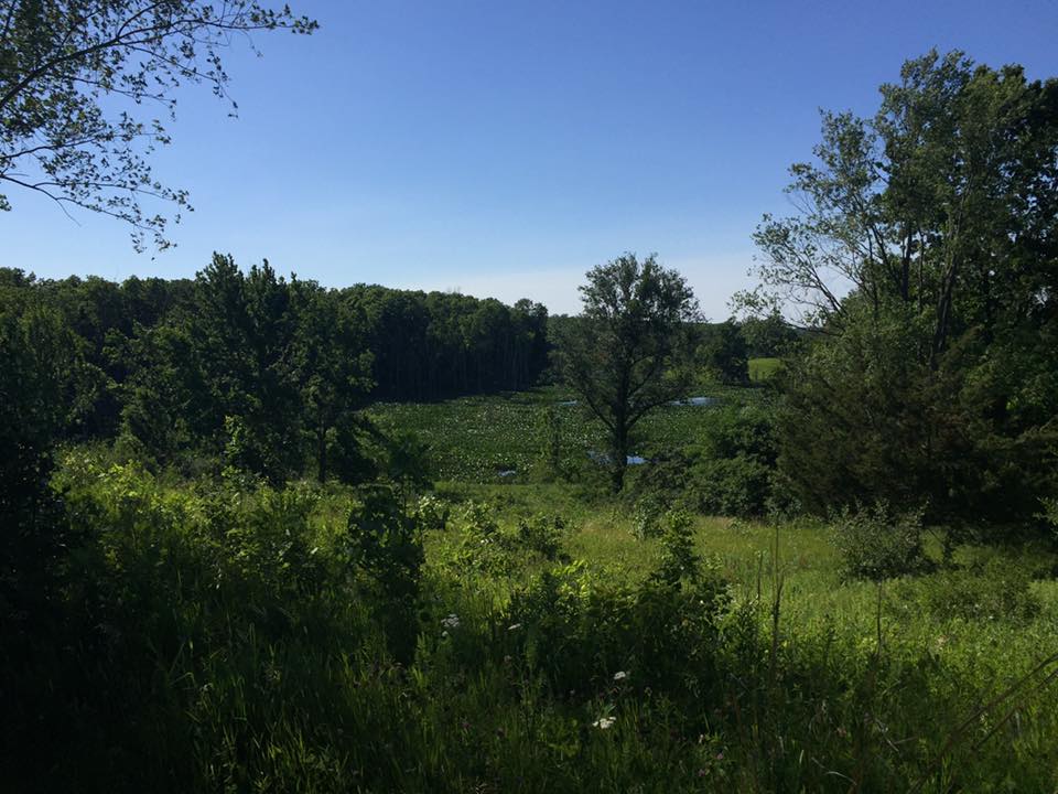 Hike the Bluebird Hills Trail