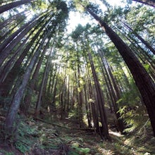 Mountain Bike Soquel Demonstration Forest