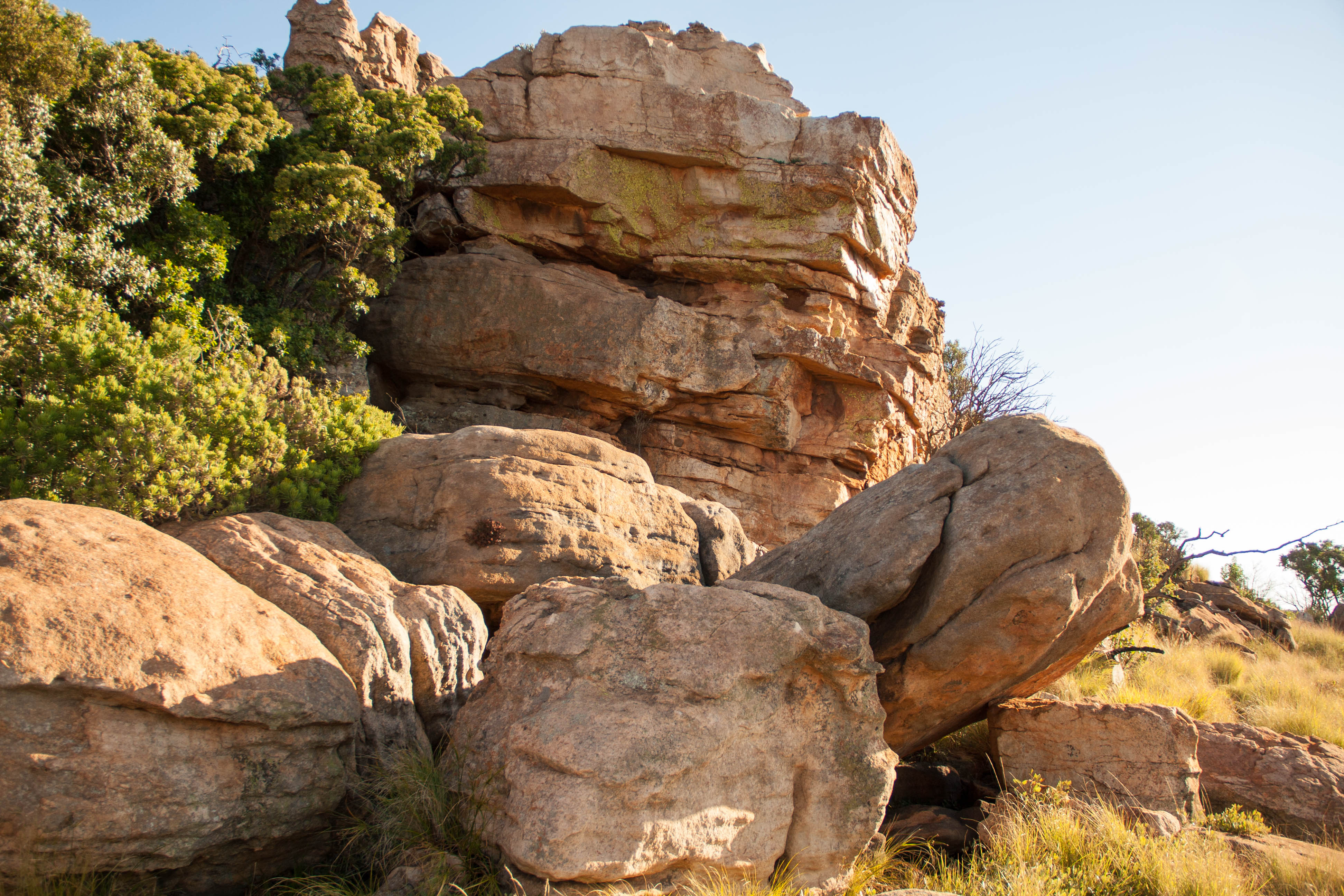 Hike the Karee Trail, Magaliesburg