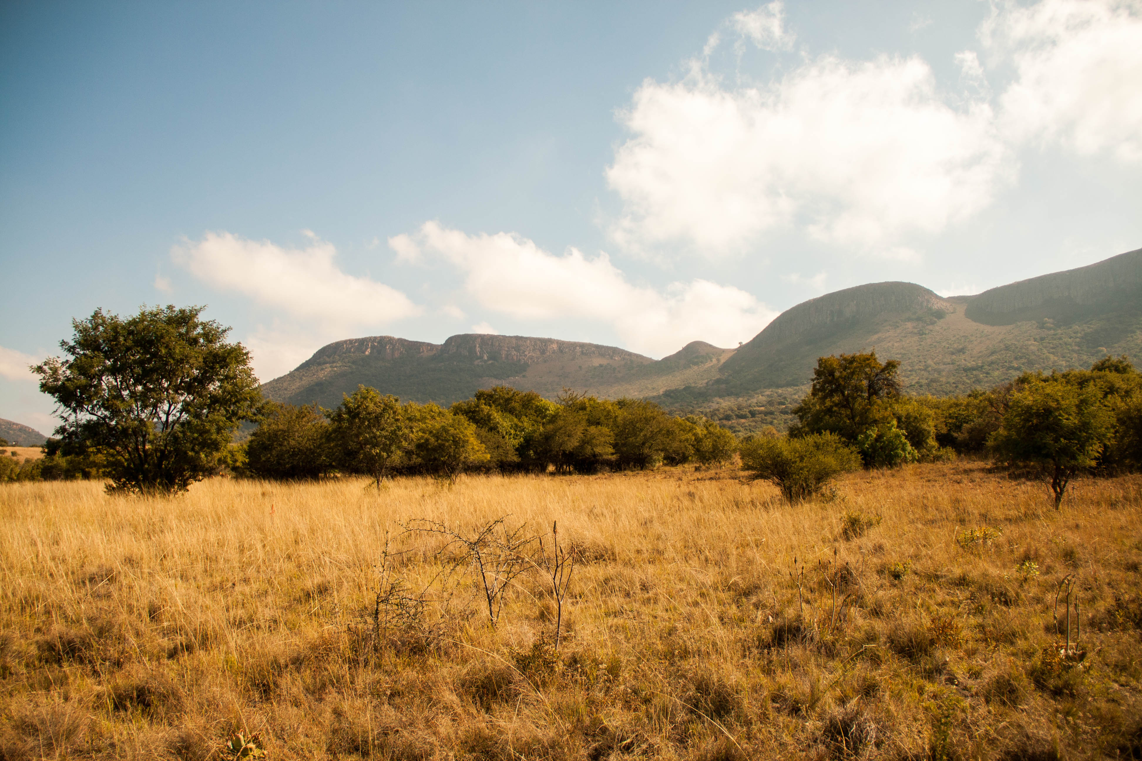 Hike the Karee Trail, Magaliesburg