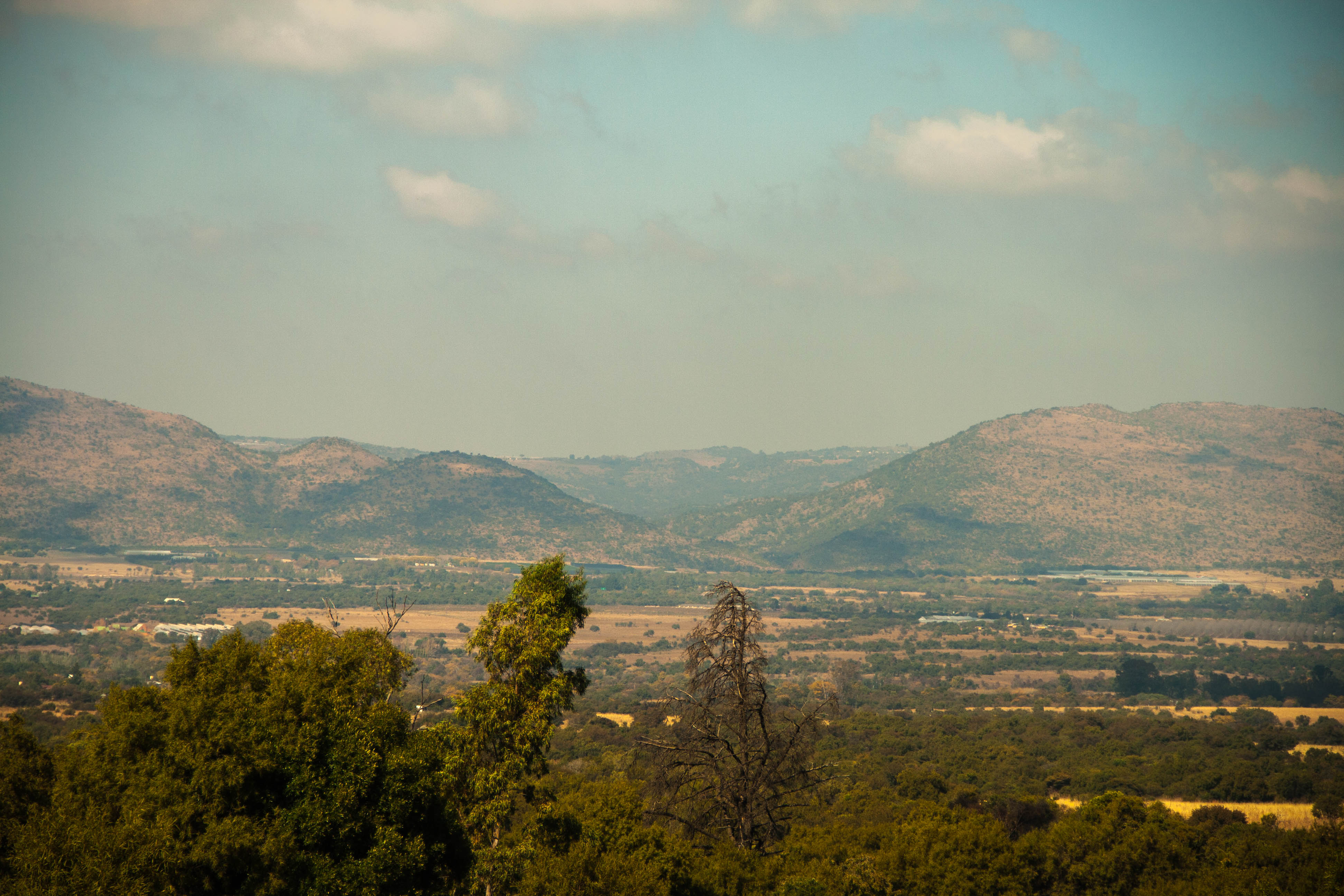 Hike the Karee Trail, Magaliesburg
