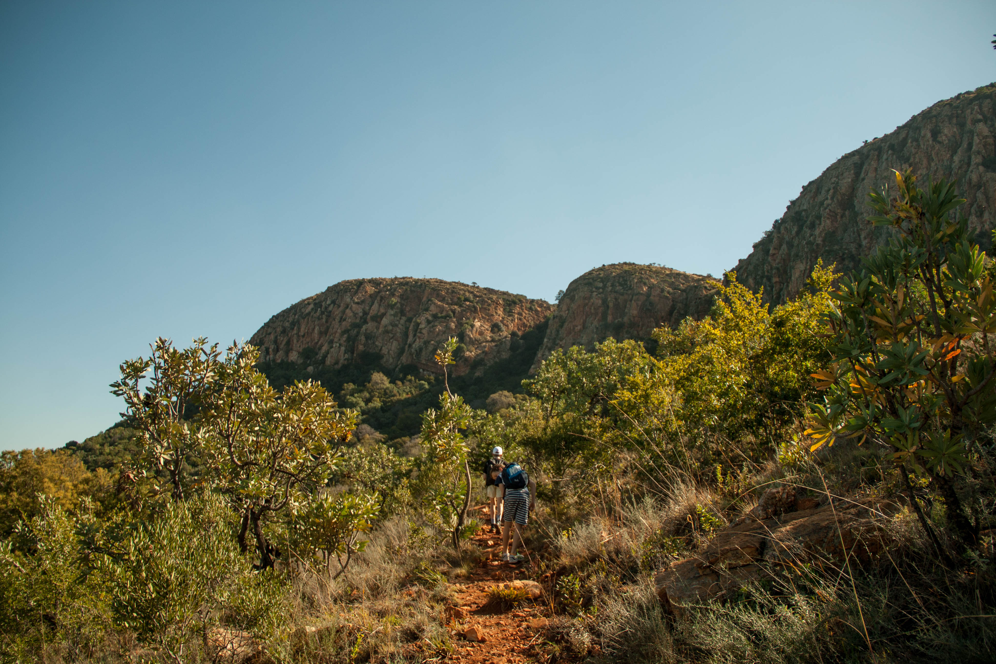 Hike the Karee Trail, Magaliesburg