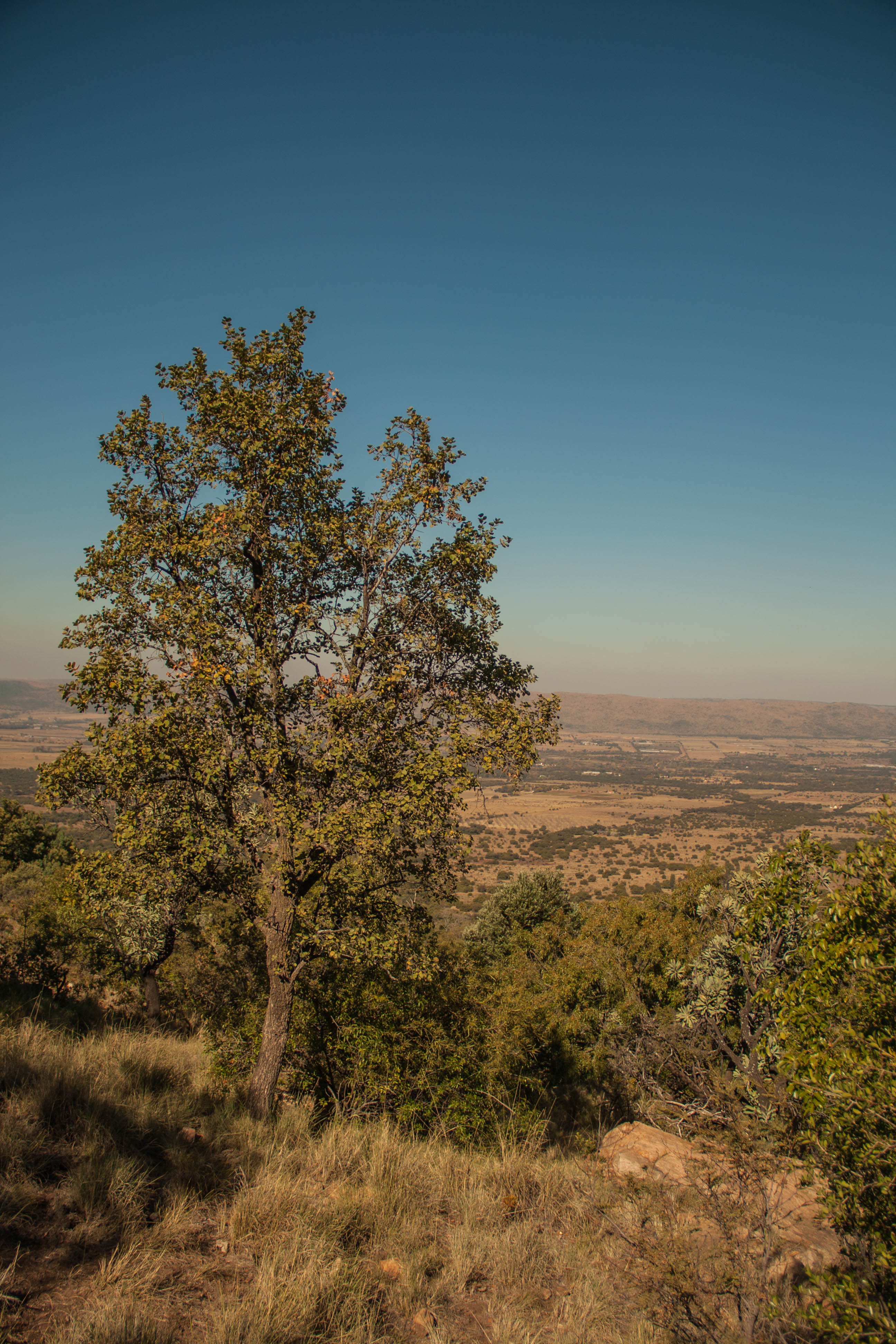 Hike the Karee Trail, Magaliesburg