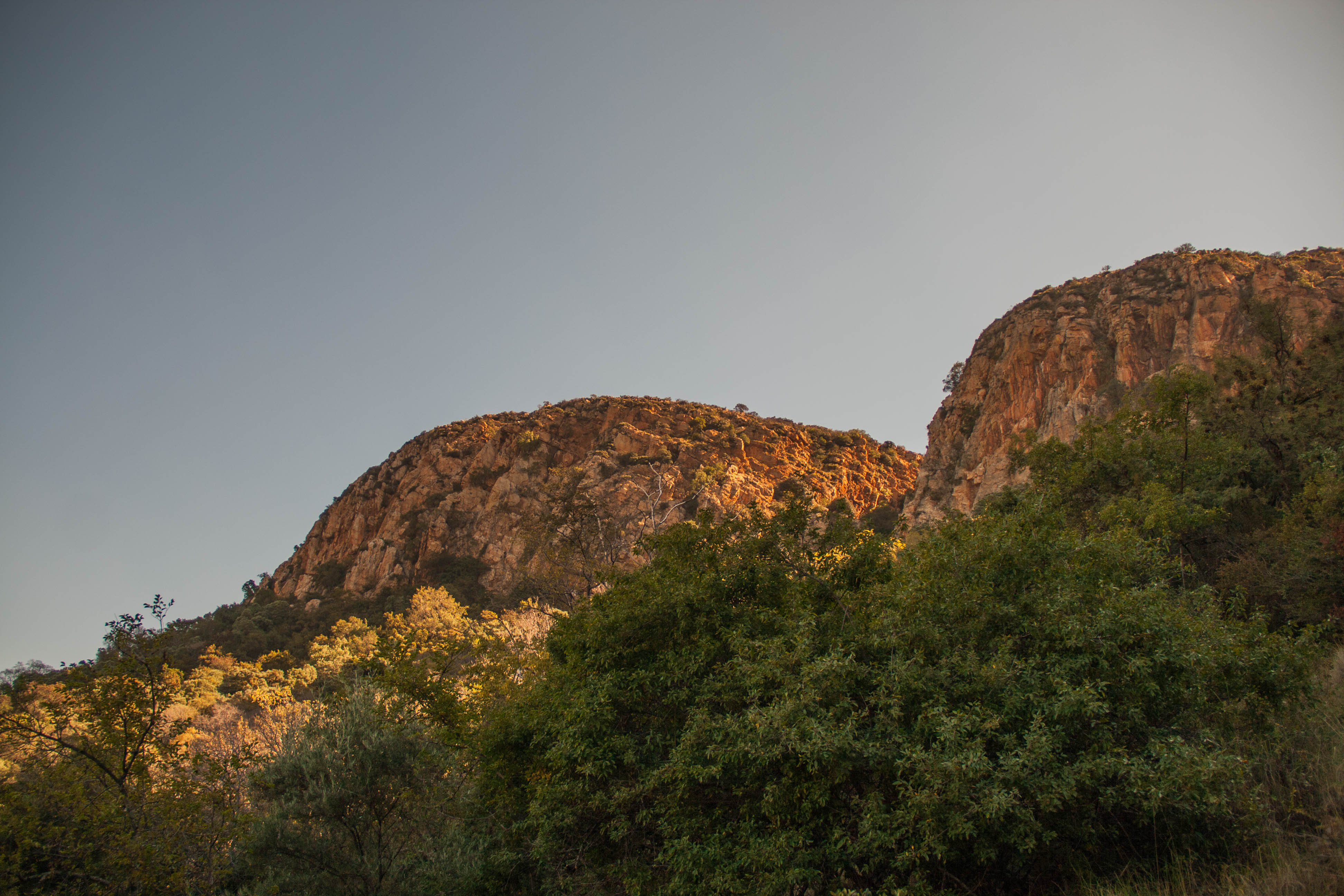 Hike the Karee Trail, Magaliesburg