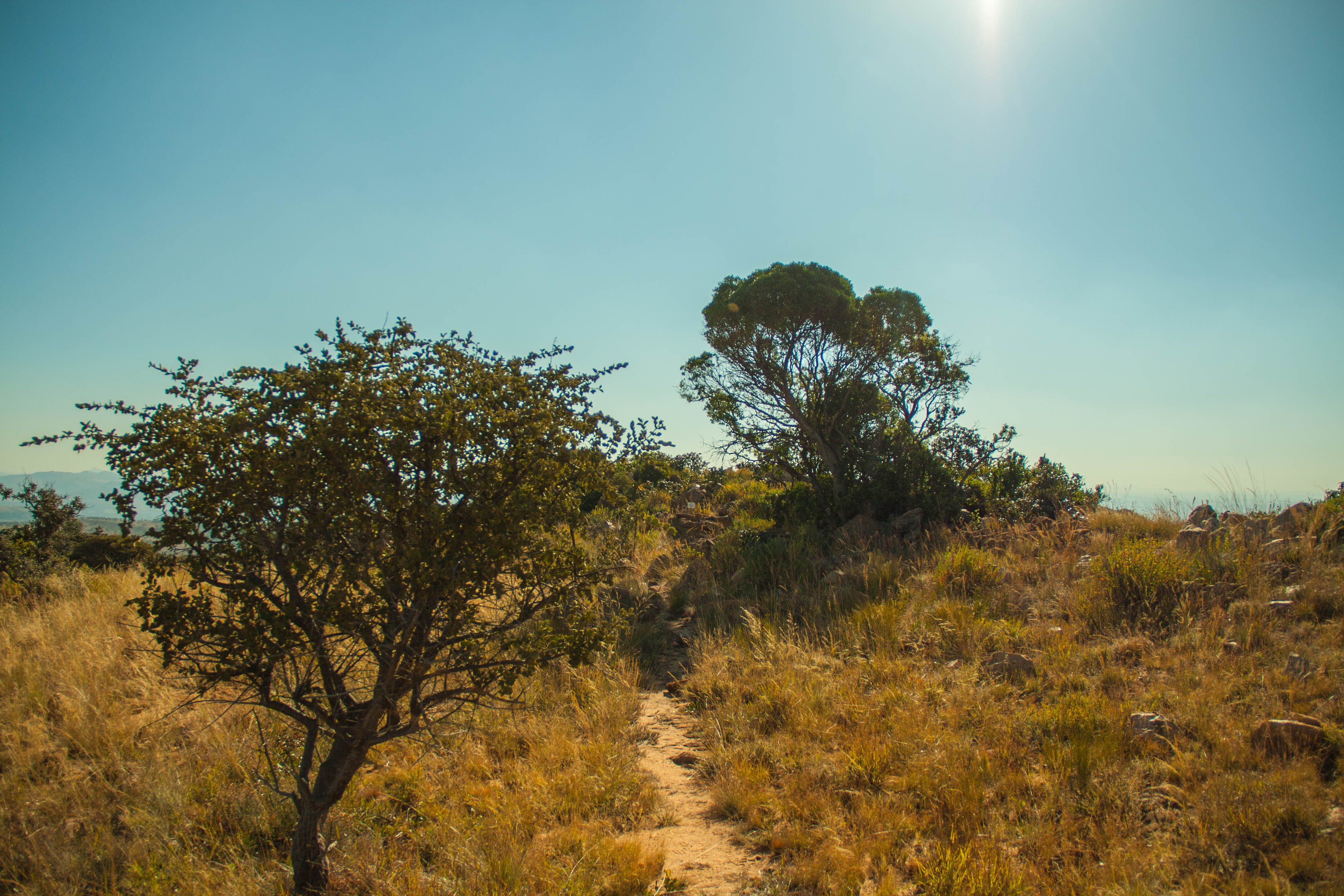 Hike the Karee Trail, Magaliesburg