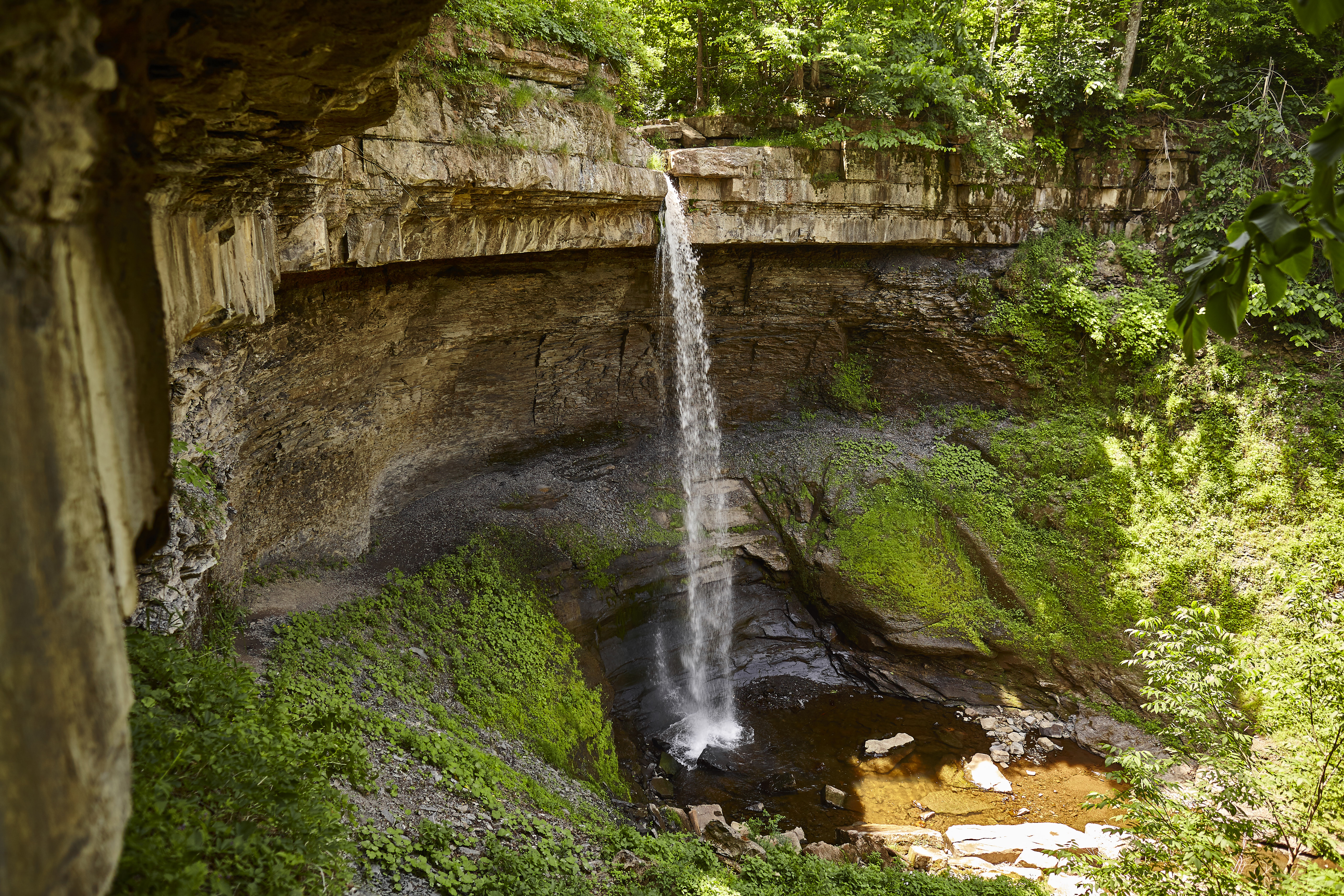 Carpenter and Angel Falls
