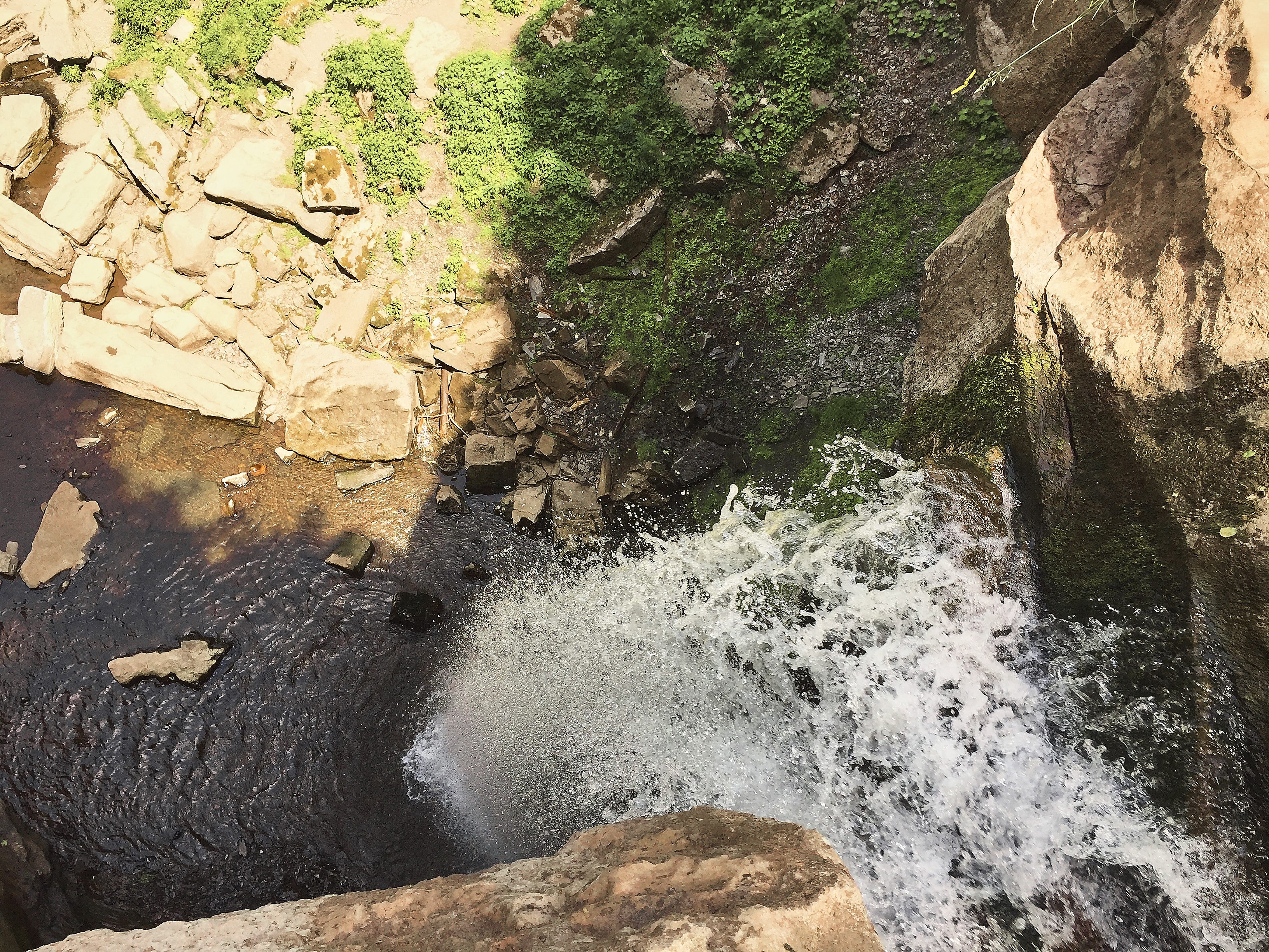 Carpenter and Angel Falls