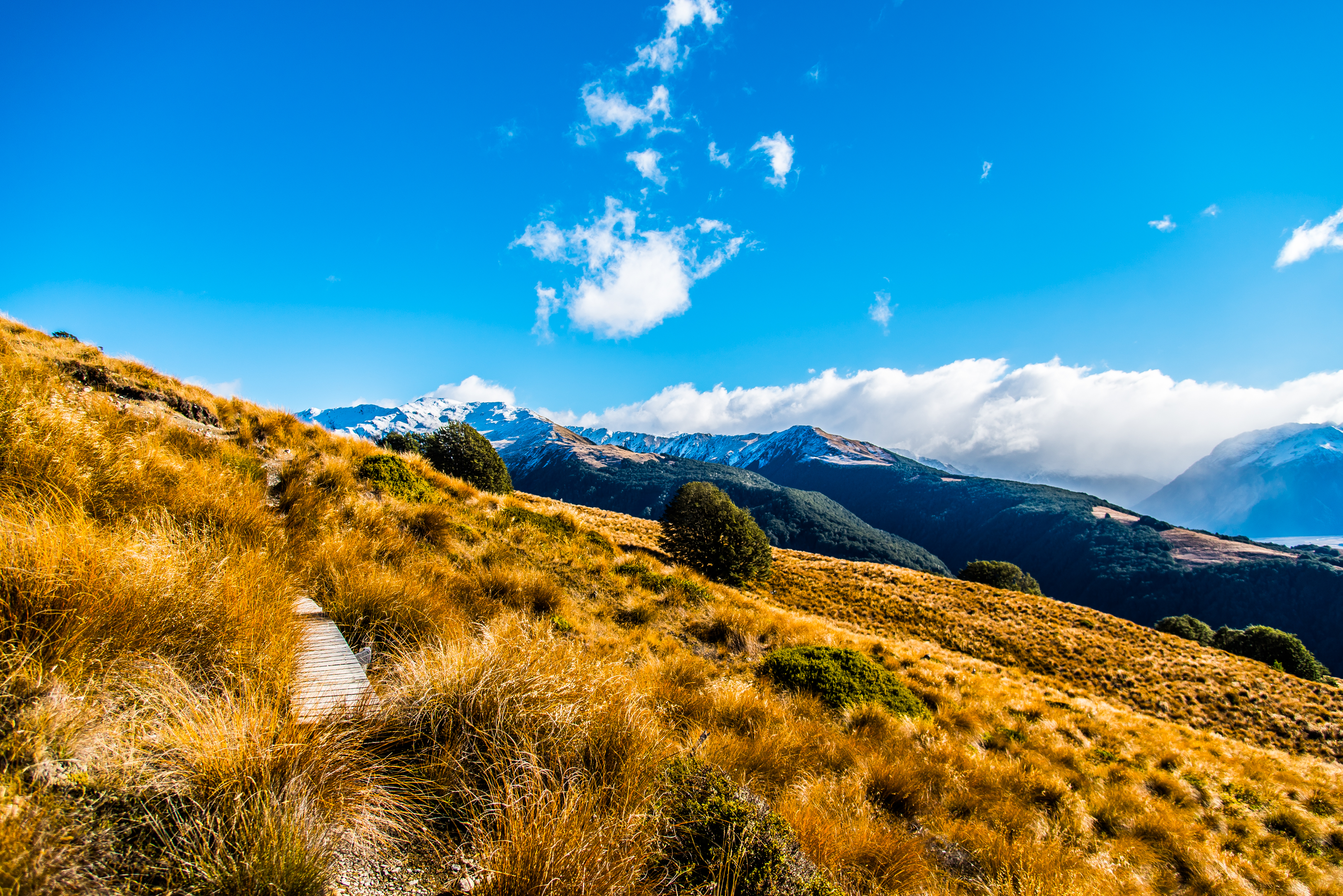 Hike Lagoon Saddle
