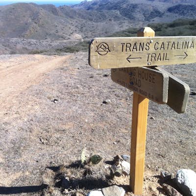 Three days on the Trans-Catalina Trail