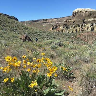 Float the Wild and Scenic Owyhee River