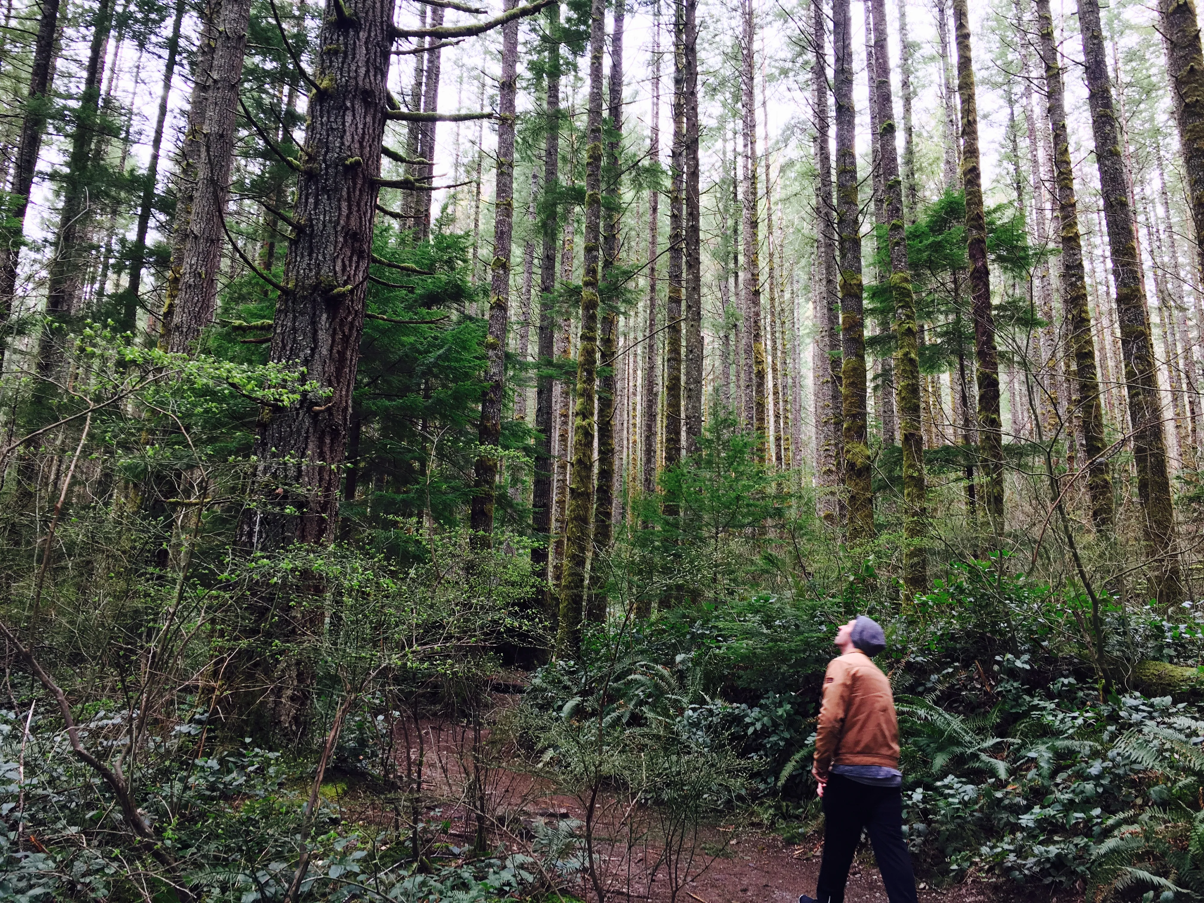 Rattlesnake Ledge