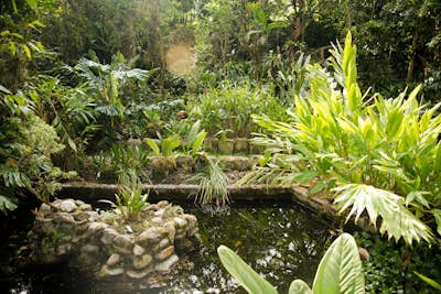 Picnic in Loja's Botanical Gardens