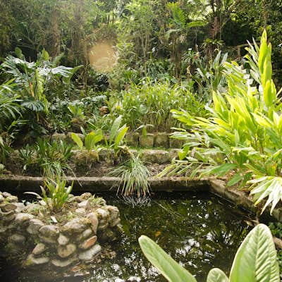 Picnic in Loja's Botanical Gardens