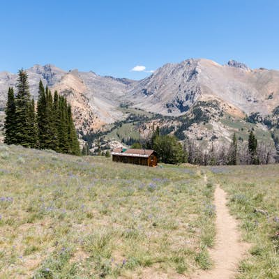 Hike the Pioneer Cabin Loop