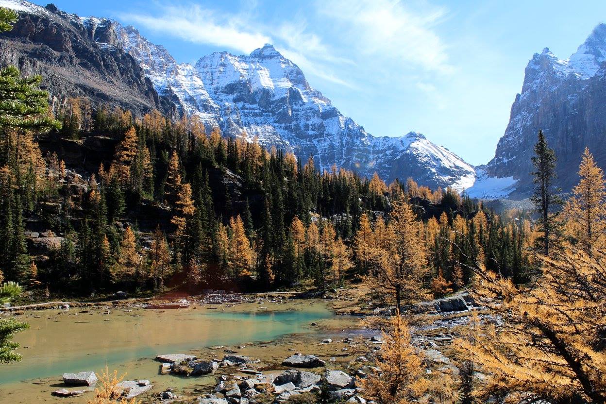 Why Lake O'Hara Should be on Every Hiker's Bucket List