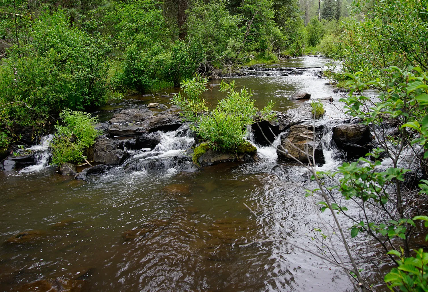 Pacheta Falls