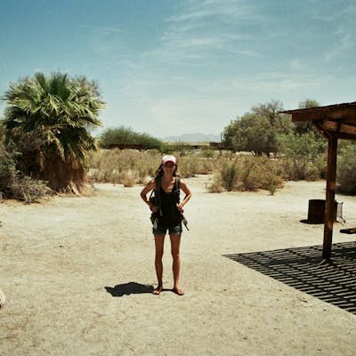 Camp at New Camp and Explore the Salton Sea