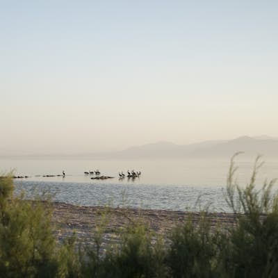 Camp at New Camp and Explore the Salton Sea