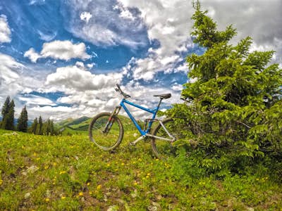 Mountain Bike Trail 401