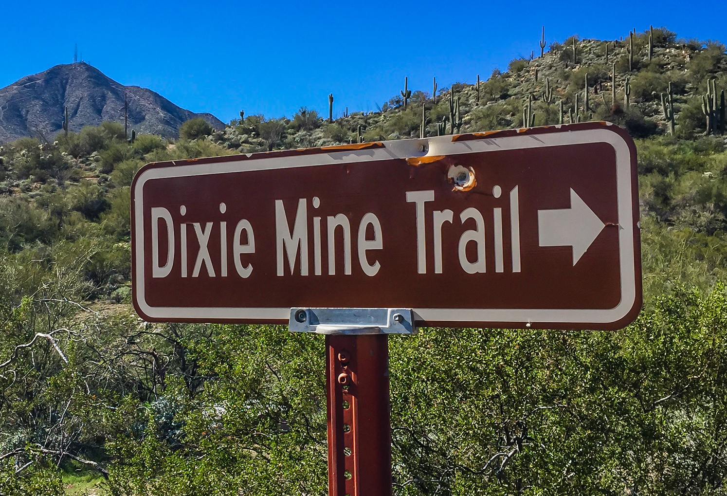 Hike the Dixie Mine Trail