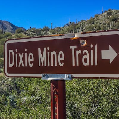 Hike the Dixie Mine Trail