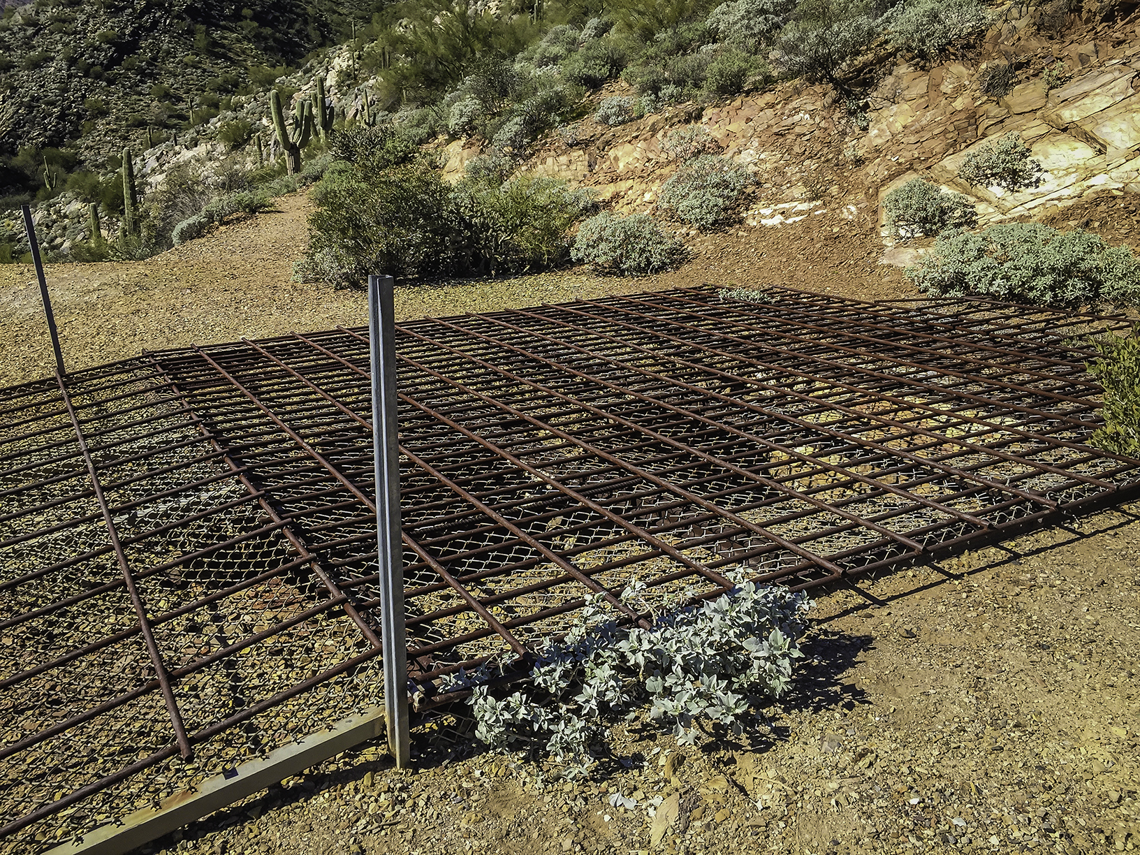 Hike the Dixie Mine Trail
