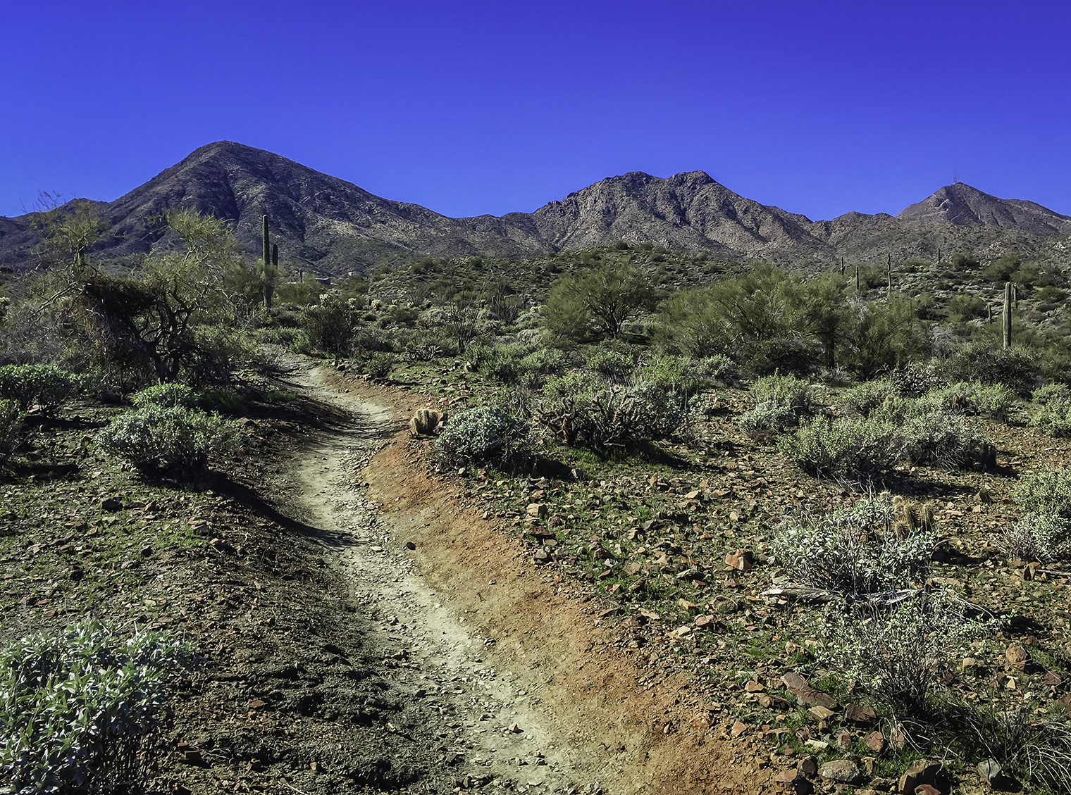 Hike the Dixie Mine Trail