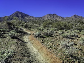 Hike the Dixie Mine Trail