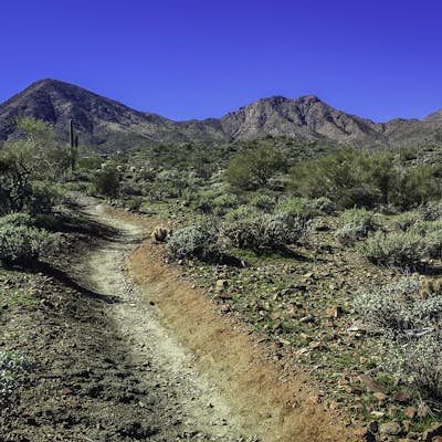 Hike the Dixie Mine Trail