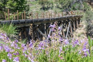 Hike to the Shay Trestle