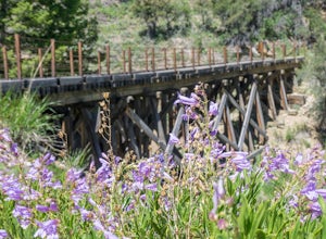 Hike to the Shay Trestle