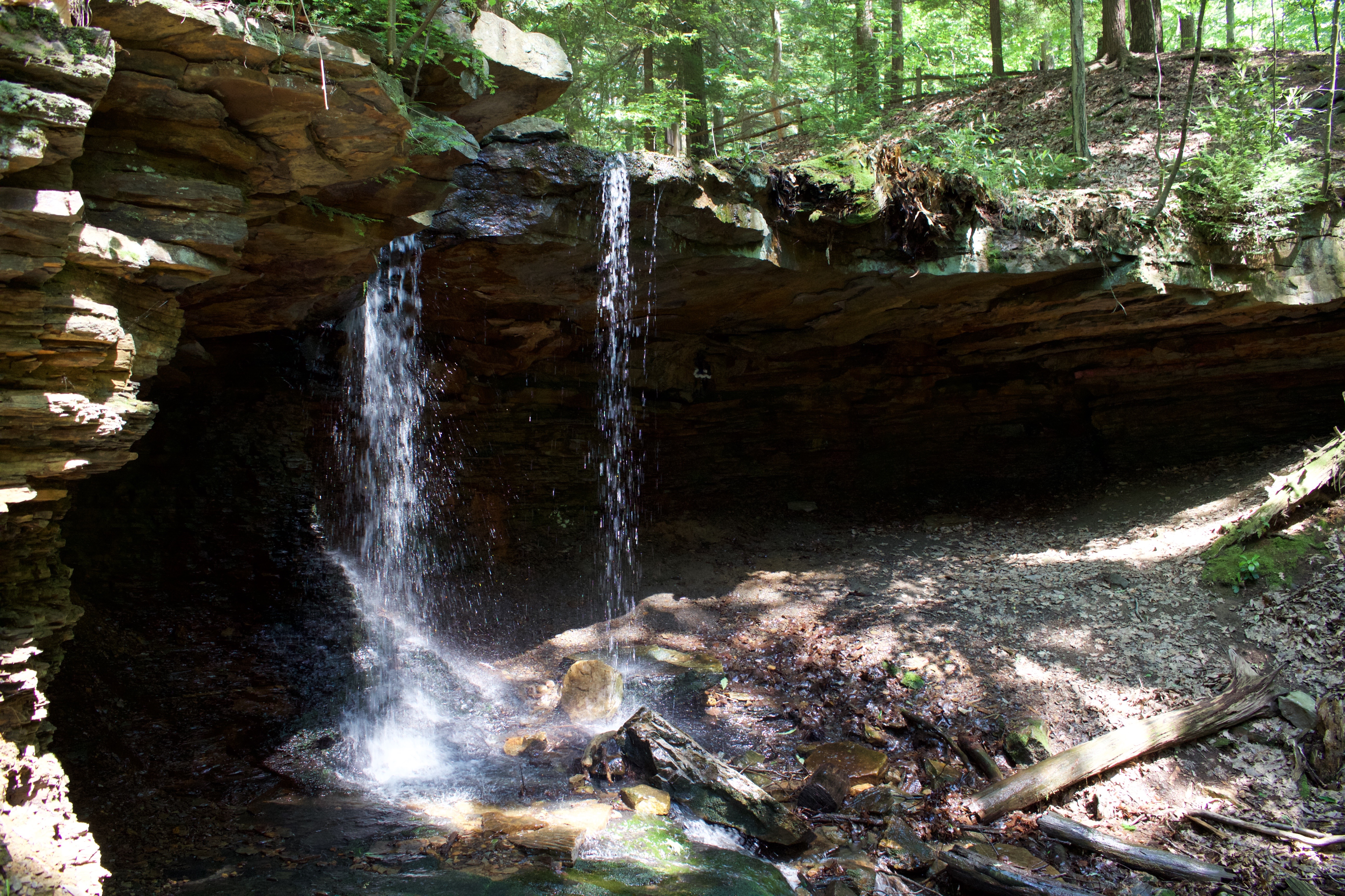 Adams Falls Trail