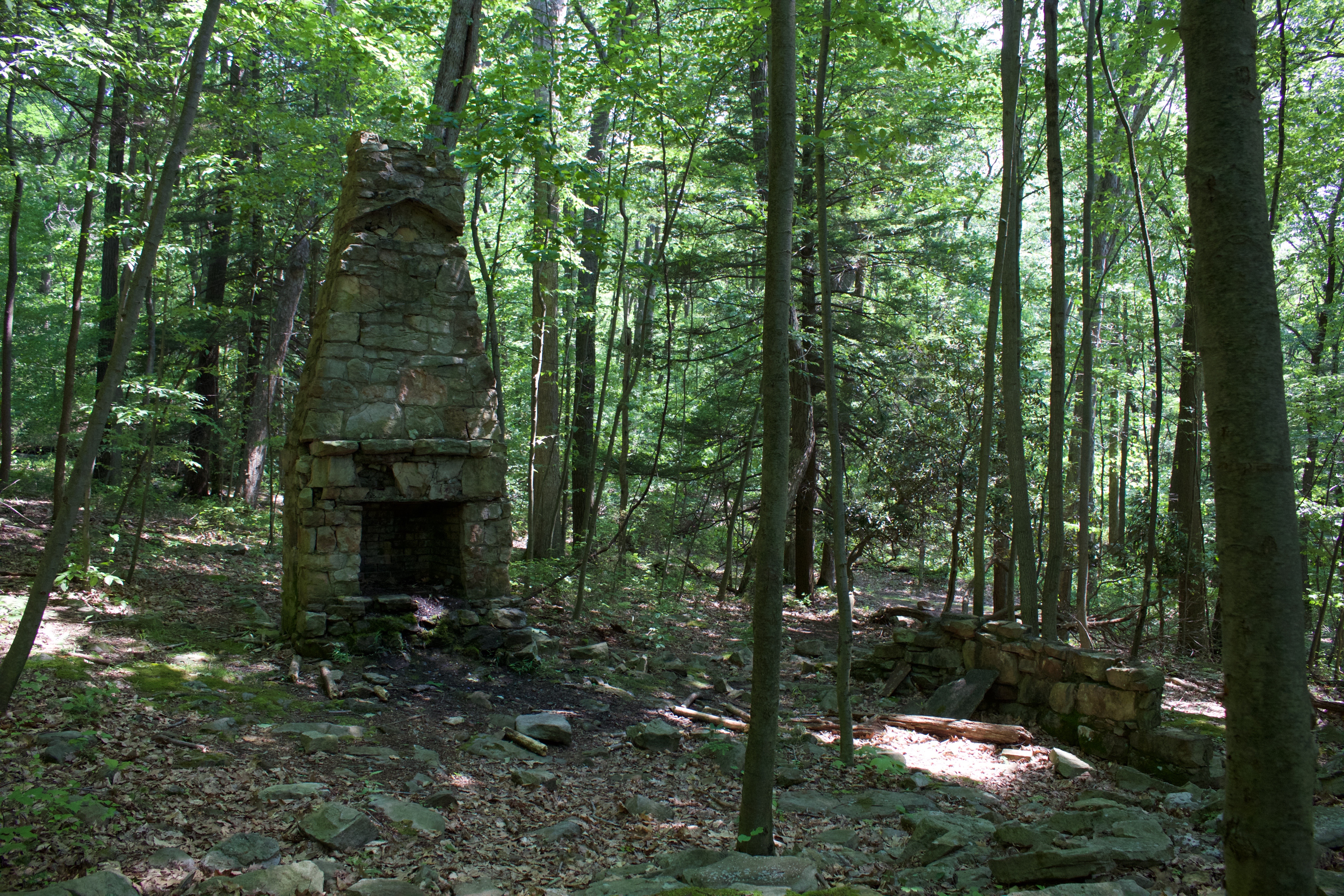 Adams Falls Trail