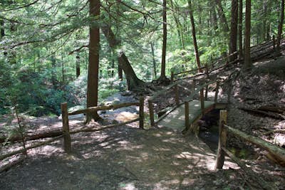 Adams Falls Trail
