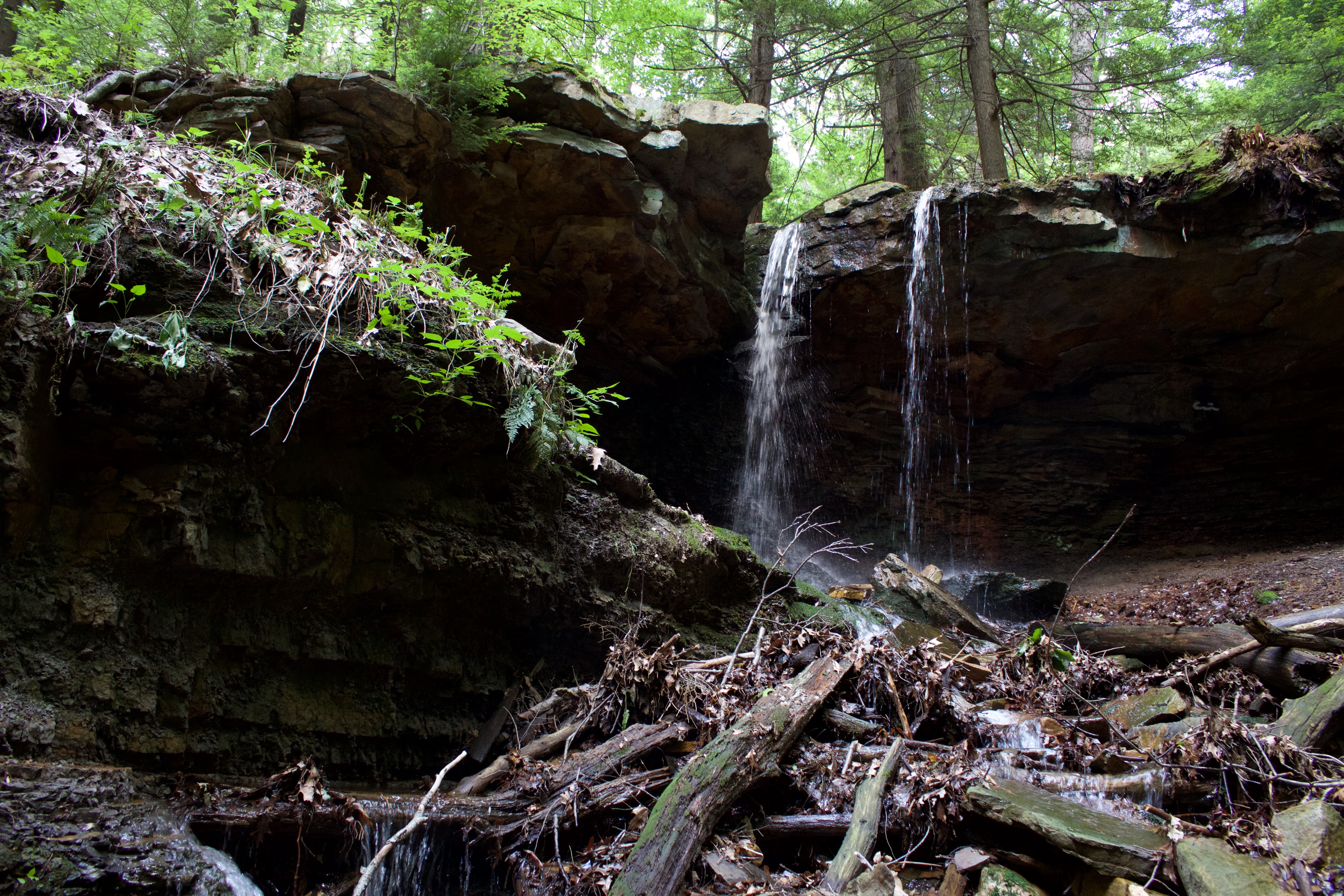 Adams Falls Trail