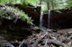 Adams Falls Trail