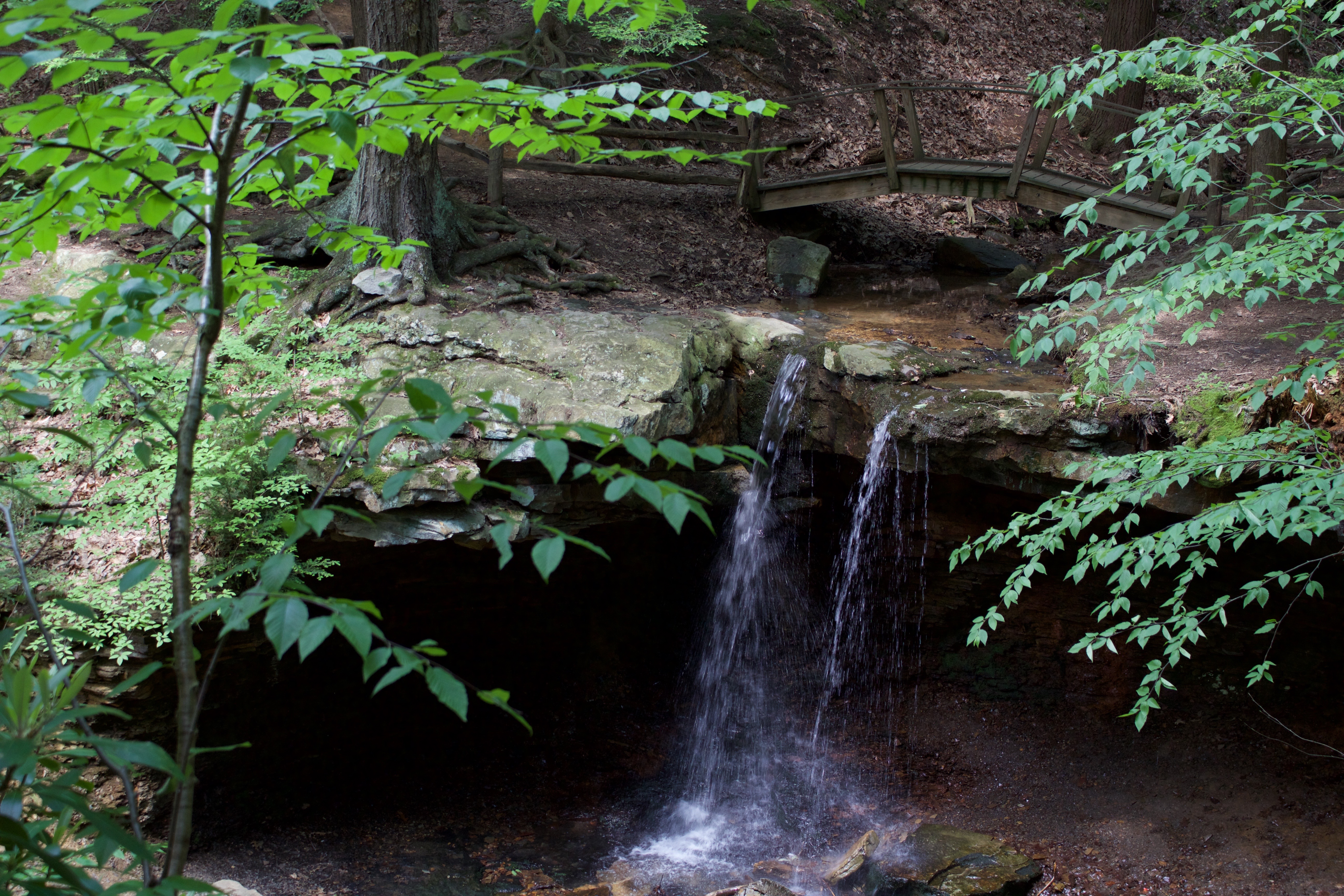 Adams Falls Trail