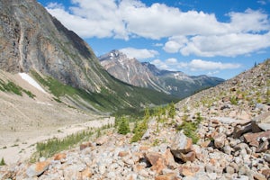 Hike to Edith Cavell Outlook