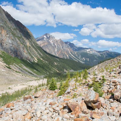 Hike to Edith Cavell Outlook
