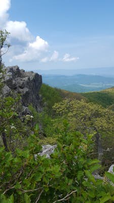 An Ocean of Mountains: Hike to Hawksbill Summit Overlook