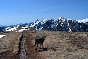 Mount Townsend 