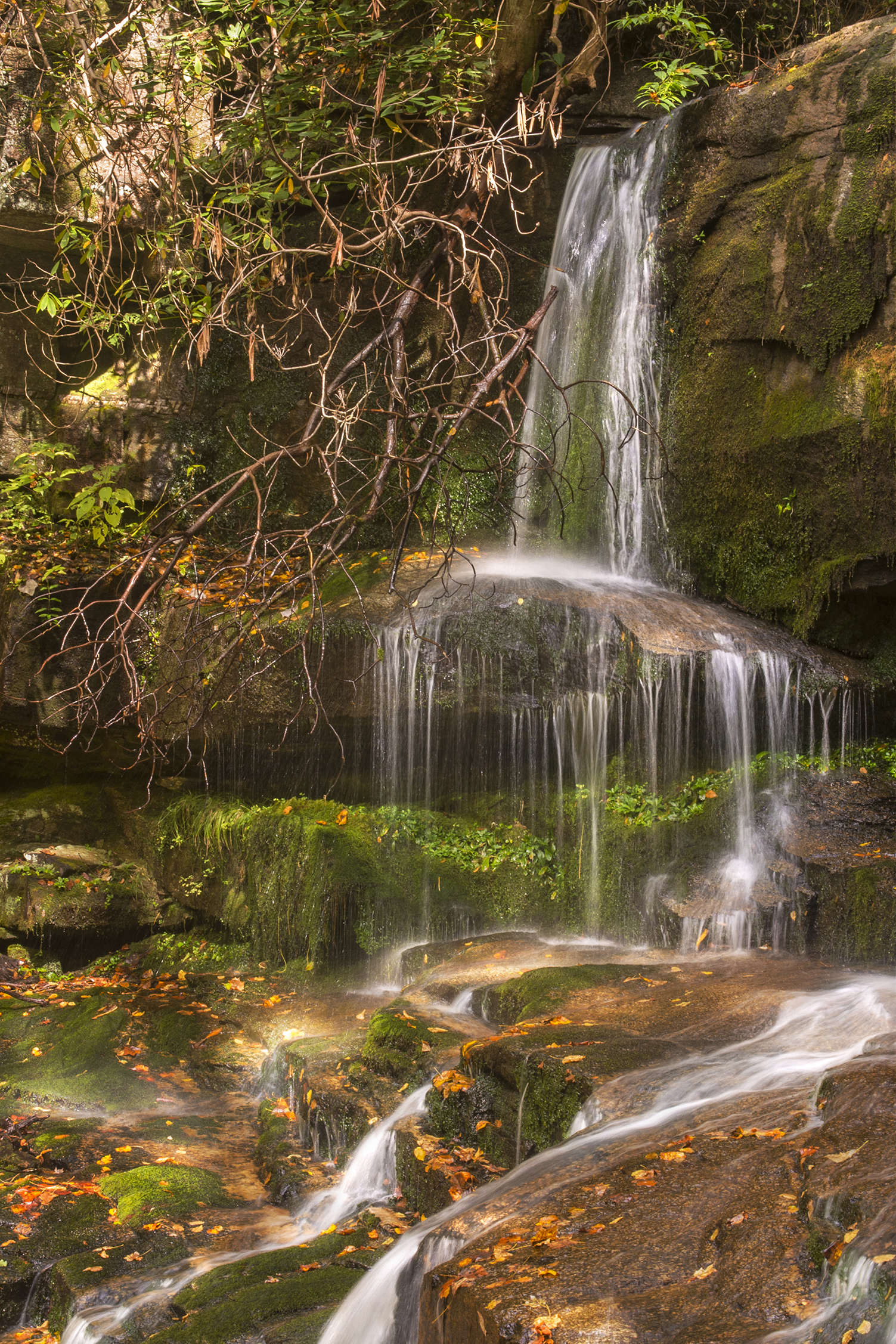Virginia Hawkins Falls (Double Falls)