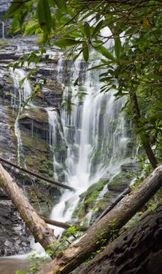 Hike to Kings Creek Falls
