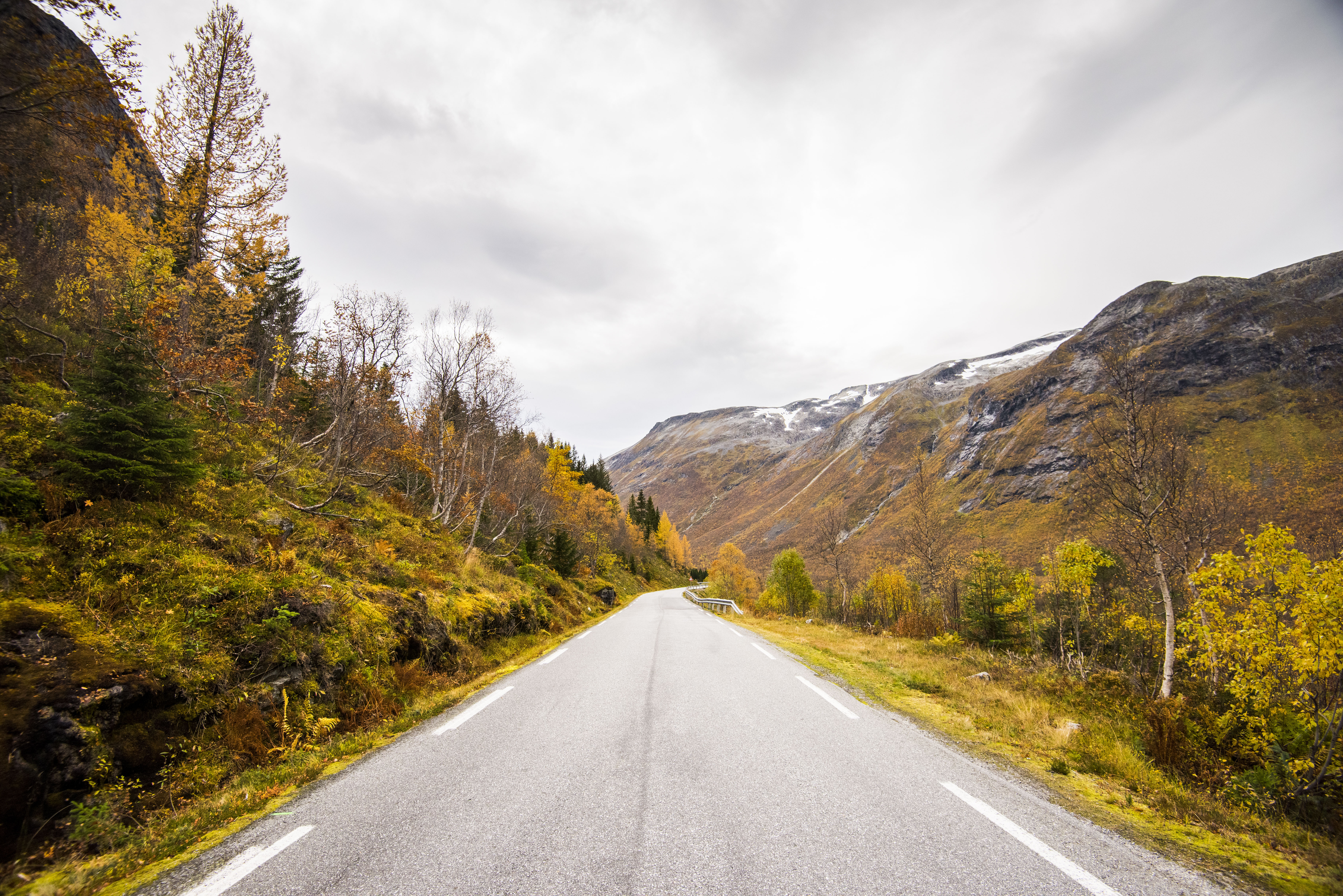 Explore the Trollstigen